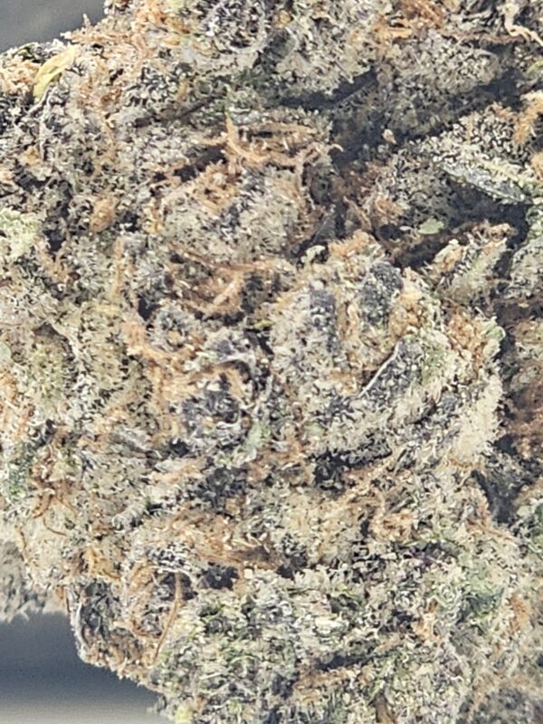 PINK GRAPEFRUIT (AAAA) - Image 3