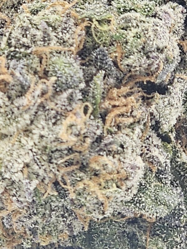 TRAIN WRECK  (AAA) - Image 3