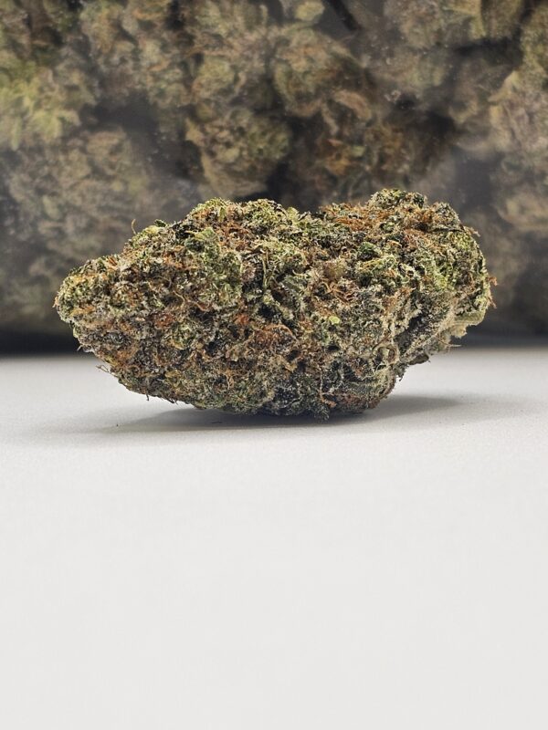 SPACE CADET (AAA)