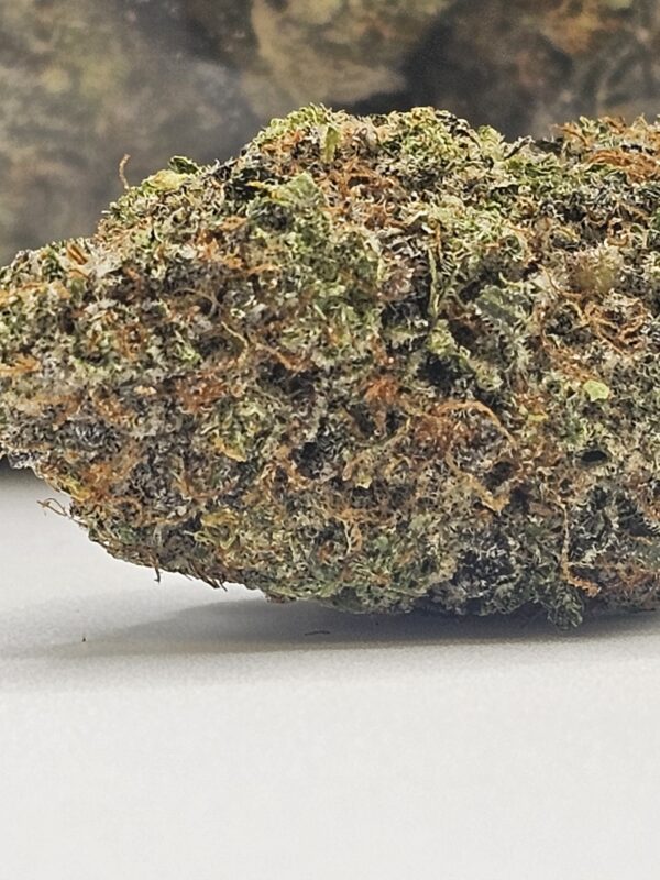 SPACE CADET (AAA) - Image 2