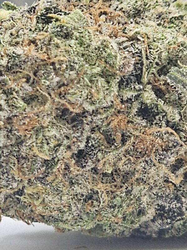 SPACE CADET (AAA) - Image 3