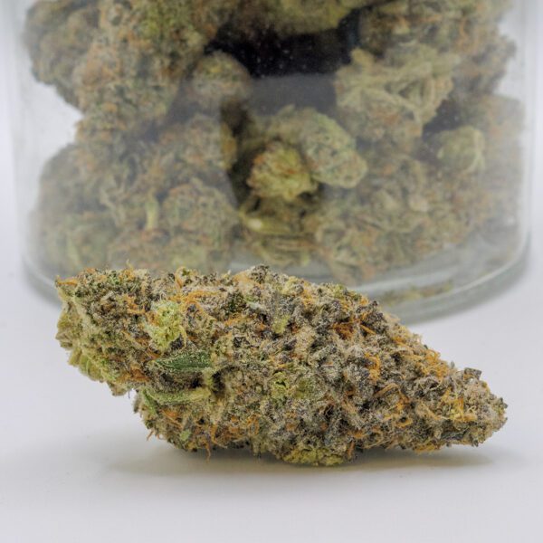 FLORIDA SUNDAE (AAA)