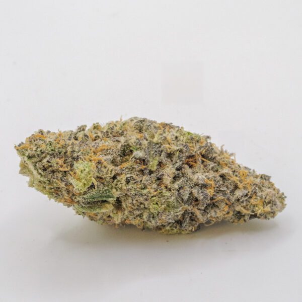 FLORIDA SUNDAE (AAA) - Image 2