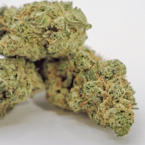 PINEAPPLE PINK (AAA) - Image 2