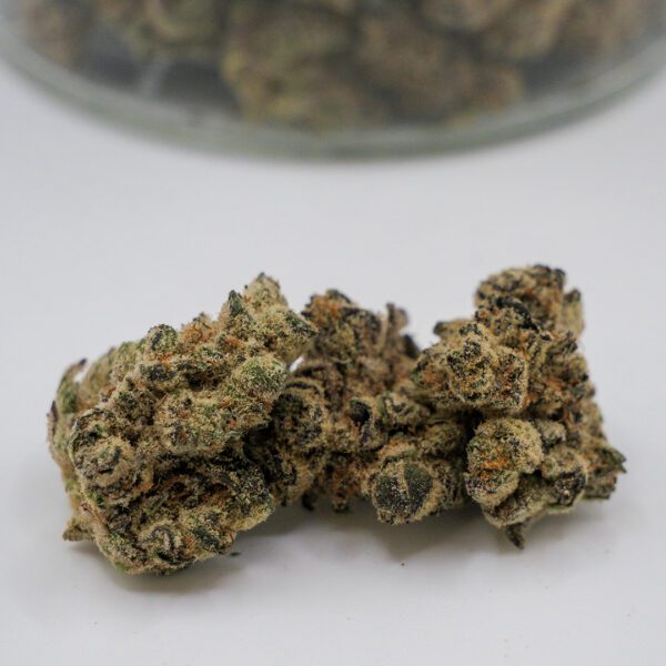 Garlic Sherbert (AAA)