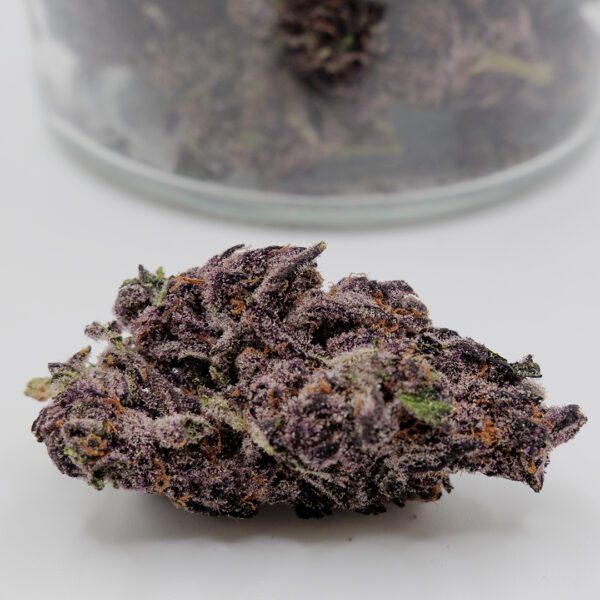 Halley Berry (AAAA)