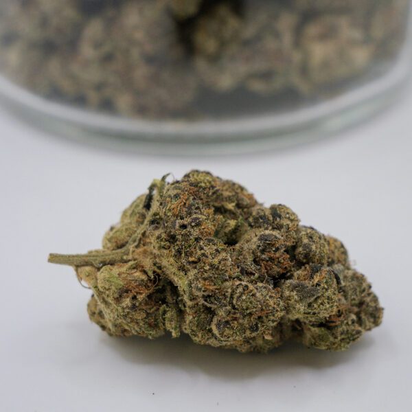 Ice Breath (AAA)