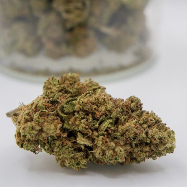 Master Kush (AA)
