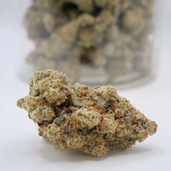 Motor Breath (AAAA)
