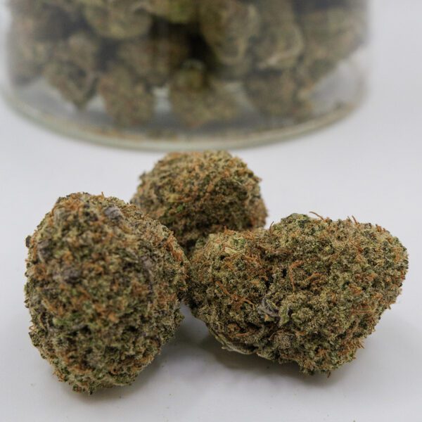 Pink Jungle (AA)