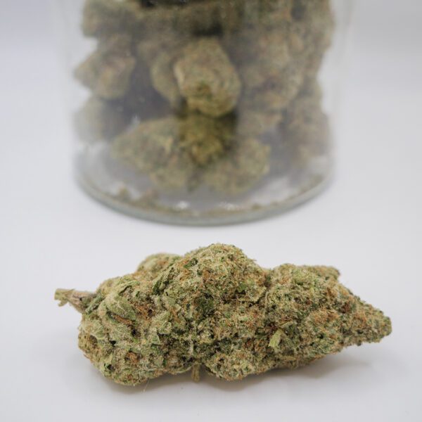 Tropical Fuel (AAAA)