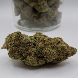 Zookies (AAAA)