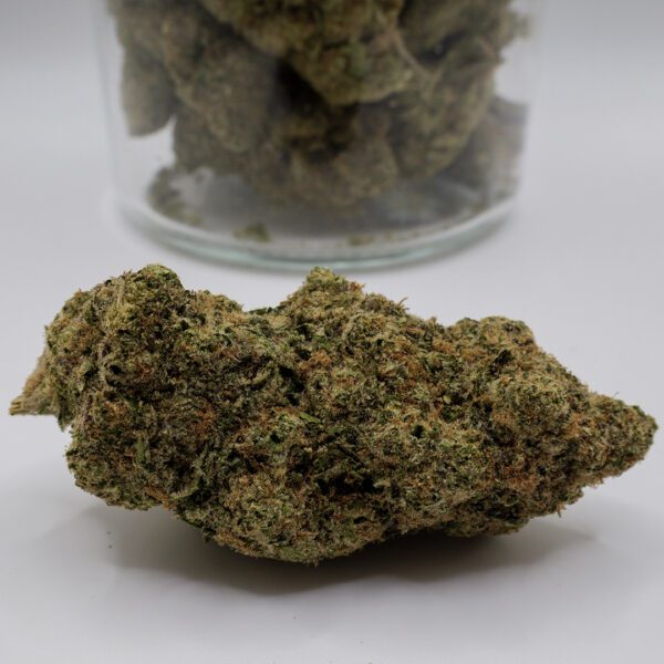 Zookies (AAAA)