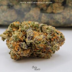 Tropical Tangie (AAA)