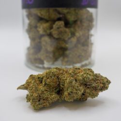 GHOST TRAIN (AAAA)