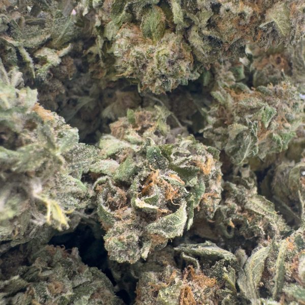 Godfather OG (AA) - Image 3