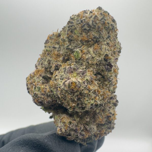 JET FUEL (AAAA) - Image 2