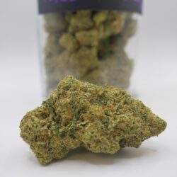 TROPICAL FUEL (AAAA)