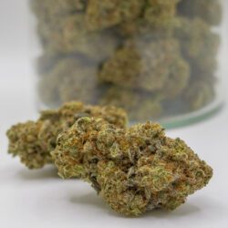 PLATINUM KUSH (AAAA)