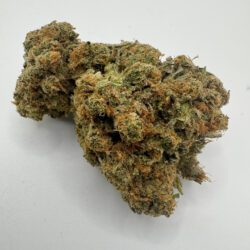 ALIEN GORILLA (AAAA)