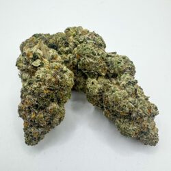 Frozen Gelato (AAAA)