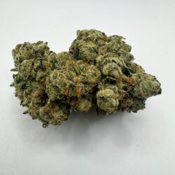 ISLAND SWEET SKUNK (AAA)