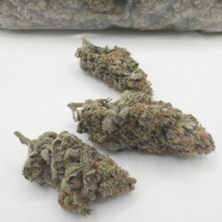 INSANE IN THE MEMBRANE (AAA)