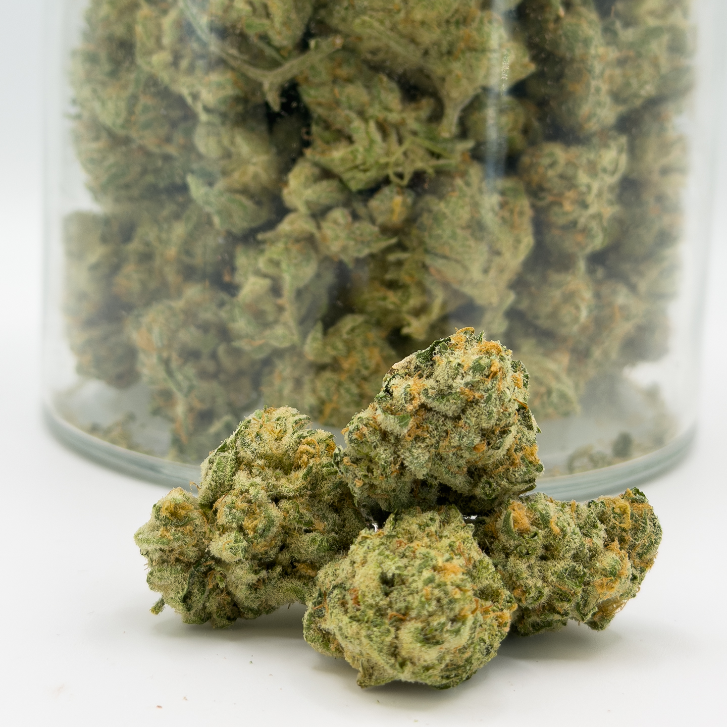 DELUXE SUGAR CAKE(AA)