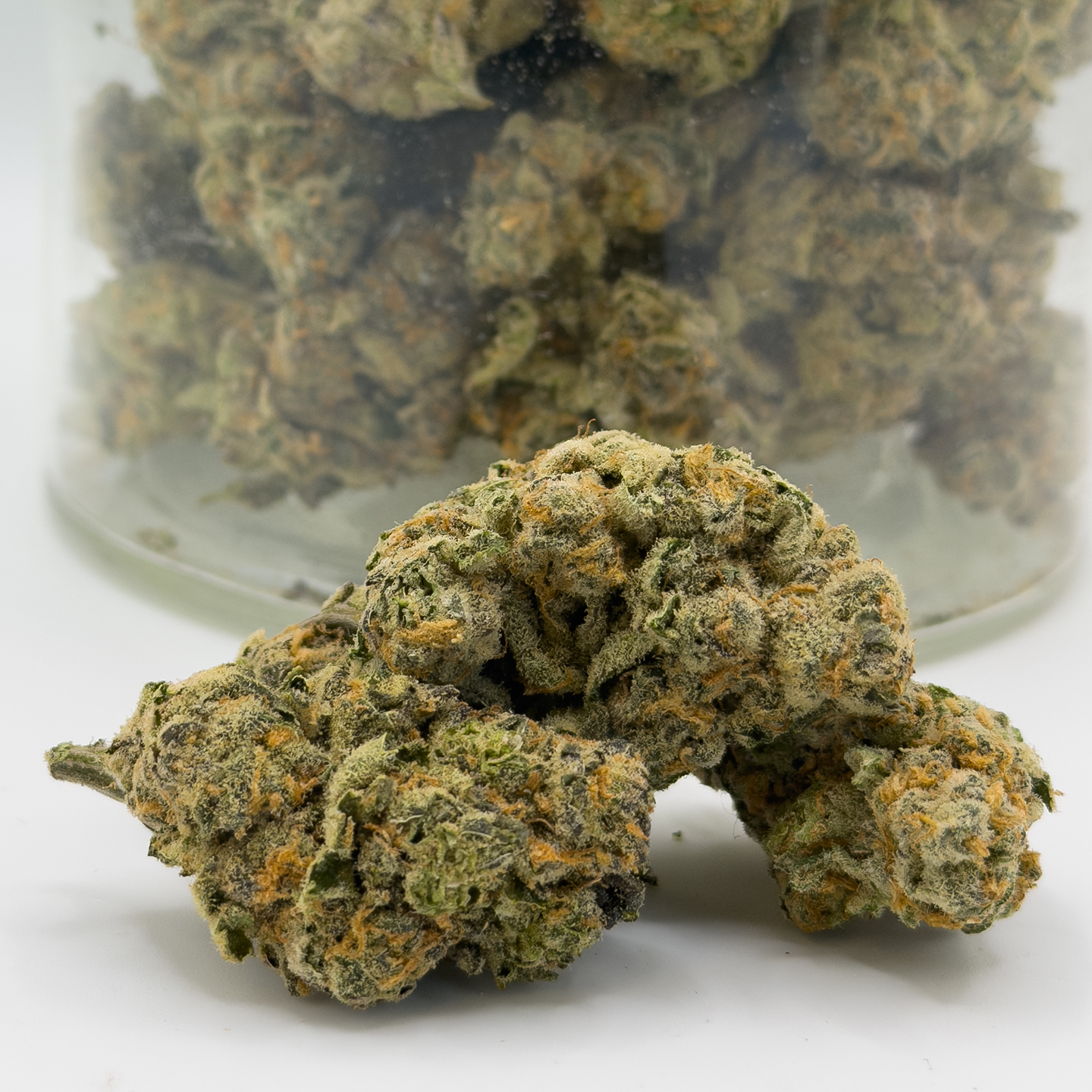 LEMON PIE RUNTZ (AAA)