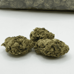 GELATO (AA)