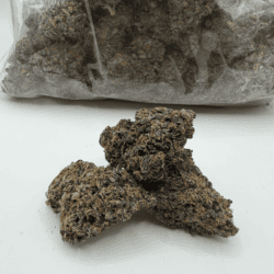GAS DADDY (AAAA)