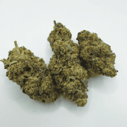 ISCREAM CAKE (AAAA)