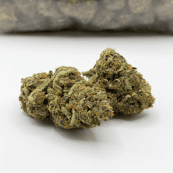 BUBBA ZOMBIE (AAAA)
