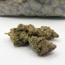 BISCOTTI (AAA)