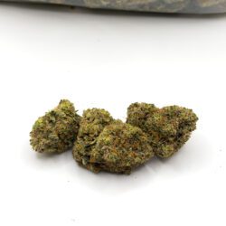 BLACK BERRY (AAA)