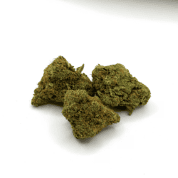 GORILLA MINTZ (AAA)